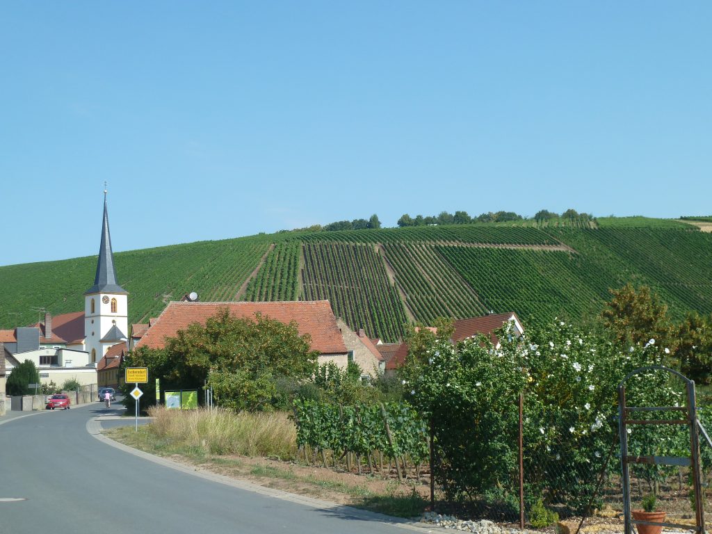 Weinlage Lump in Escherndorf