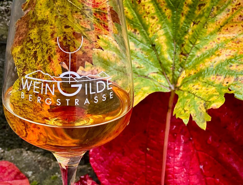 Aromen aus den Blättern von Reben - Weingilde Bergstraße testet Getränke-Innovationen 2025.